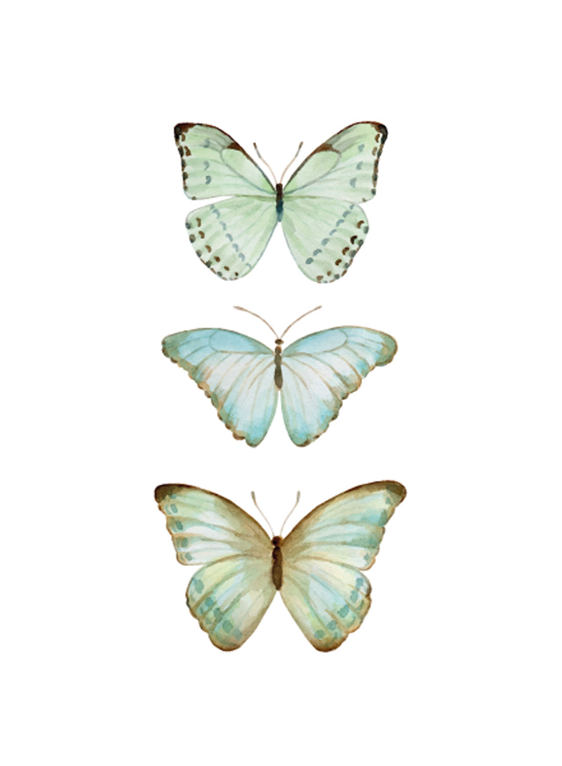 BUTTERFLIES