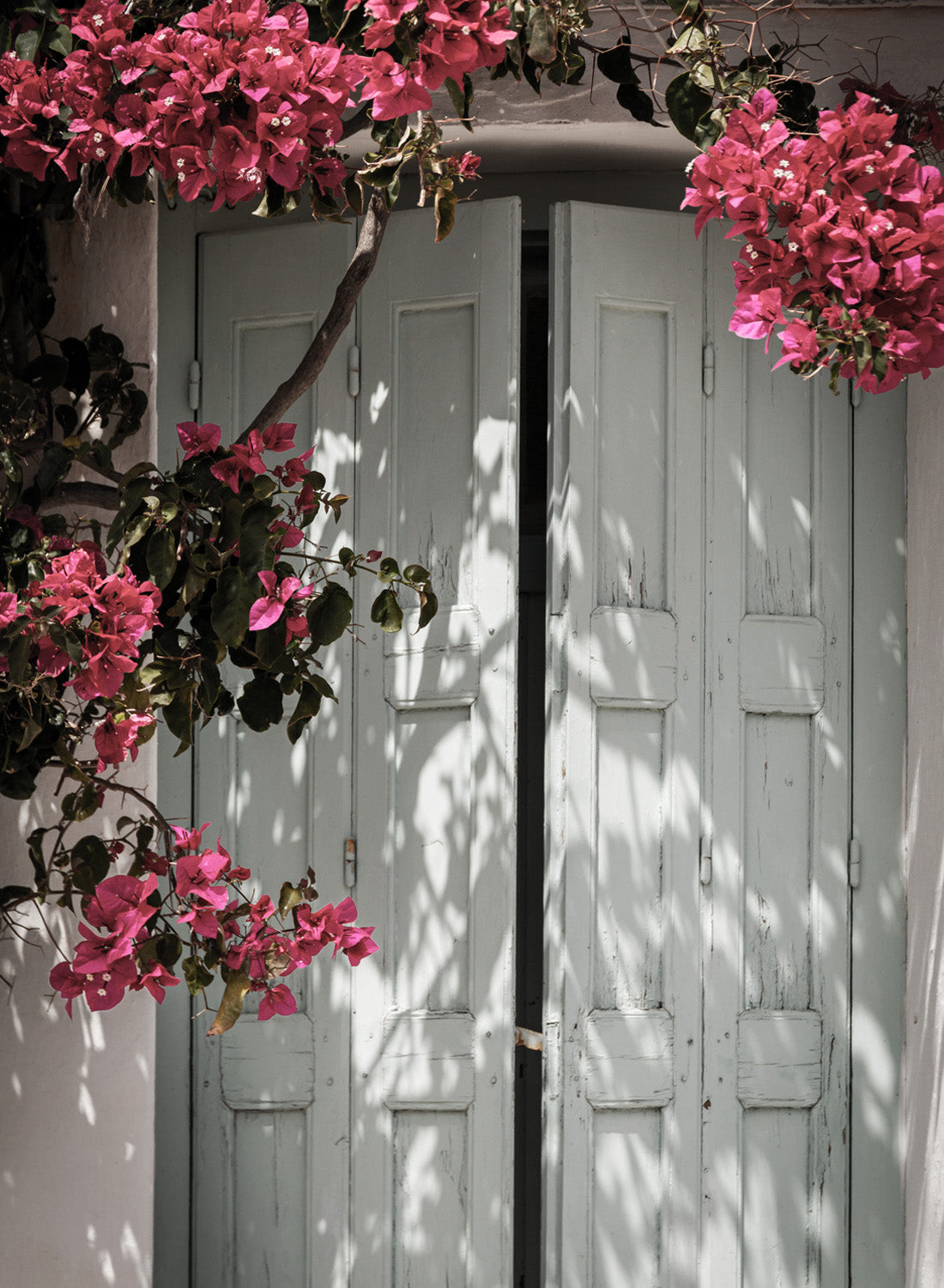BLOOMING DOOR