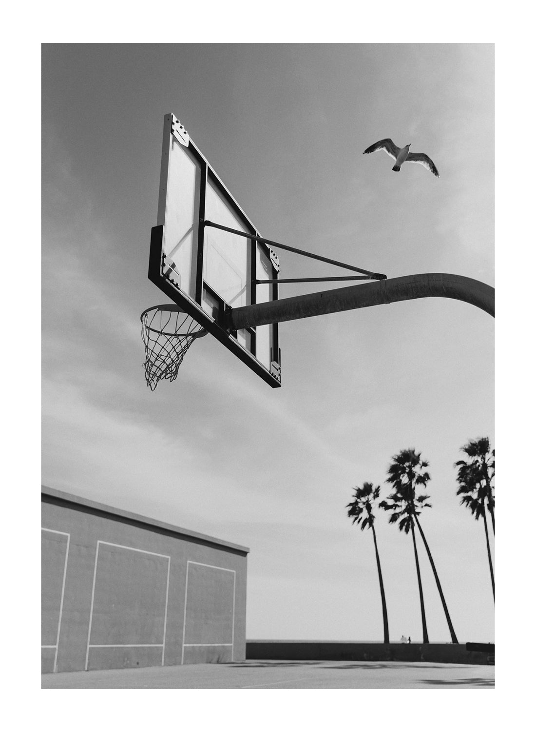 BASKETBALL COURT