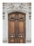 ANTIQUE DOOR