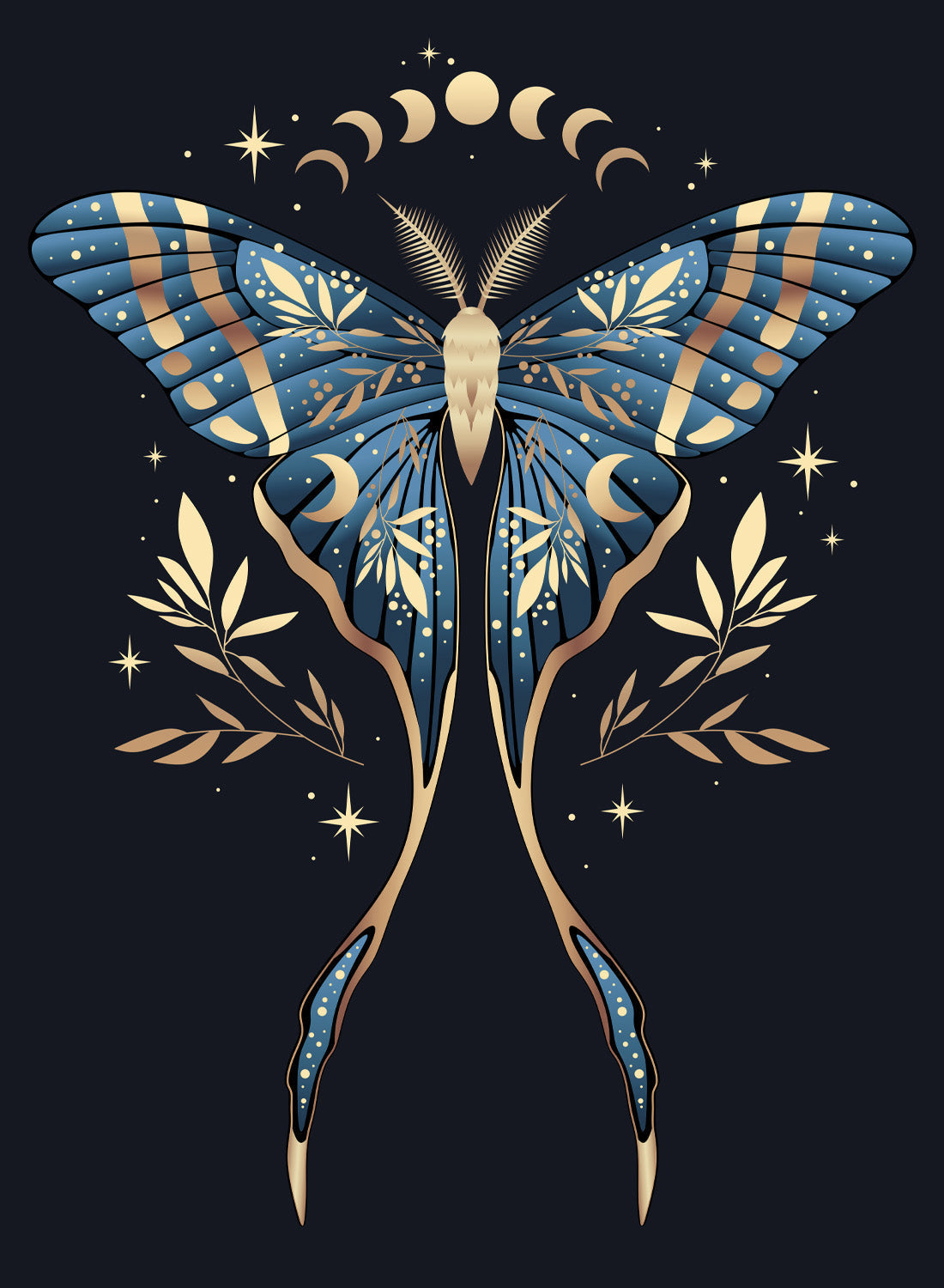 NIGHT BUTTERFLY