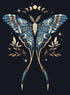 NIGHT BUTTERFLY