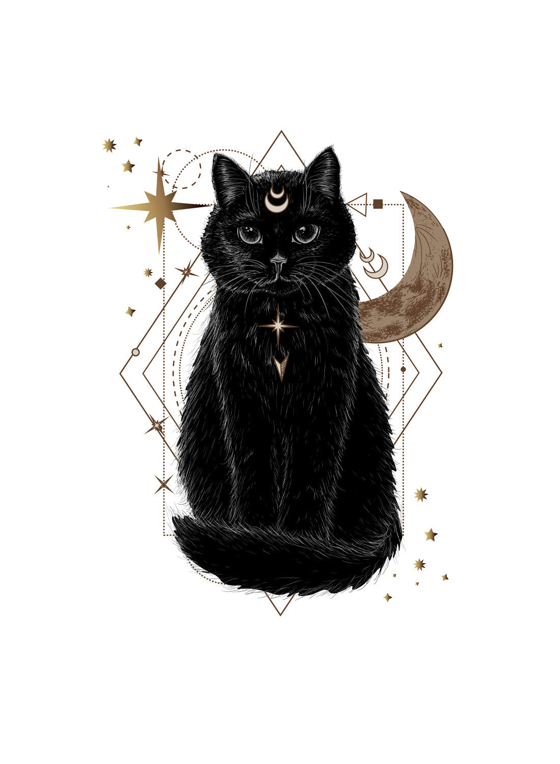 MYSTICAL CAT ILLUSTRATION