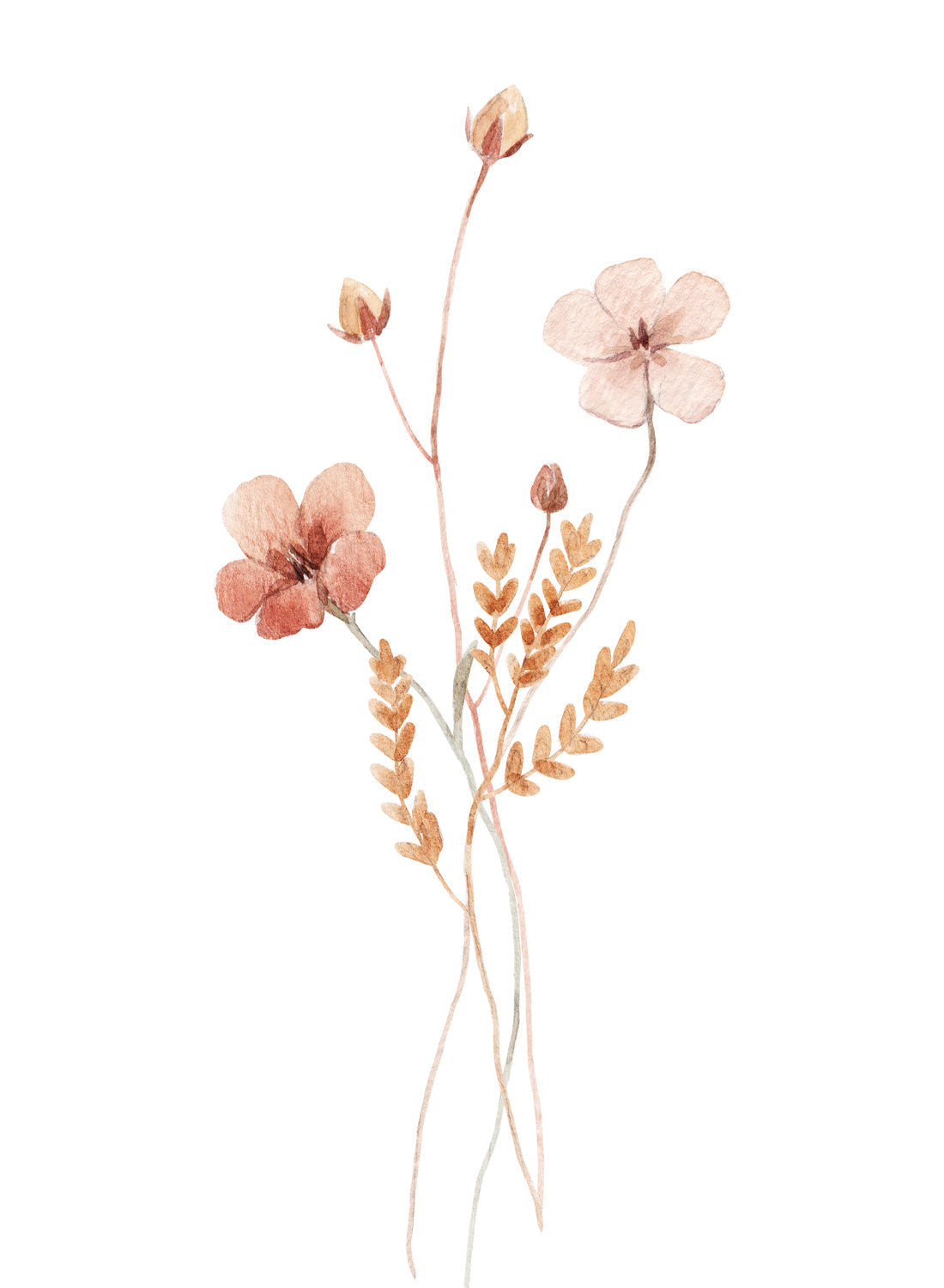 AUTUMN FLOWERS ILLUSTRATION NO2