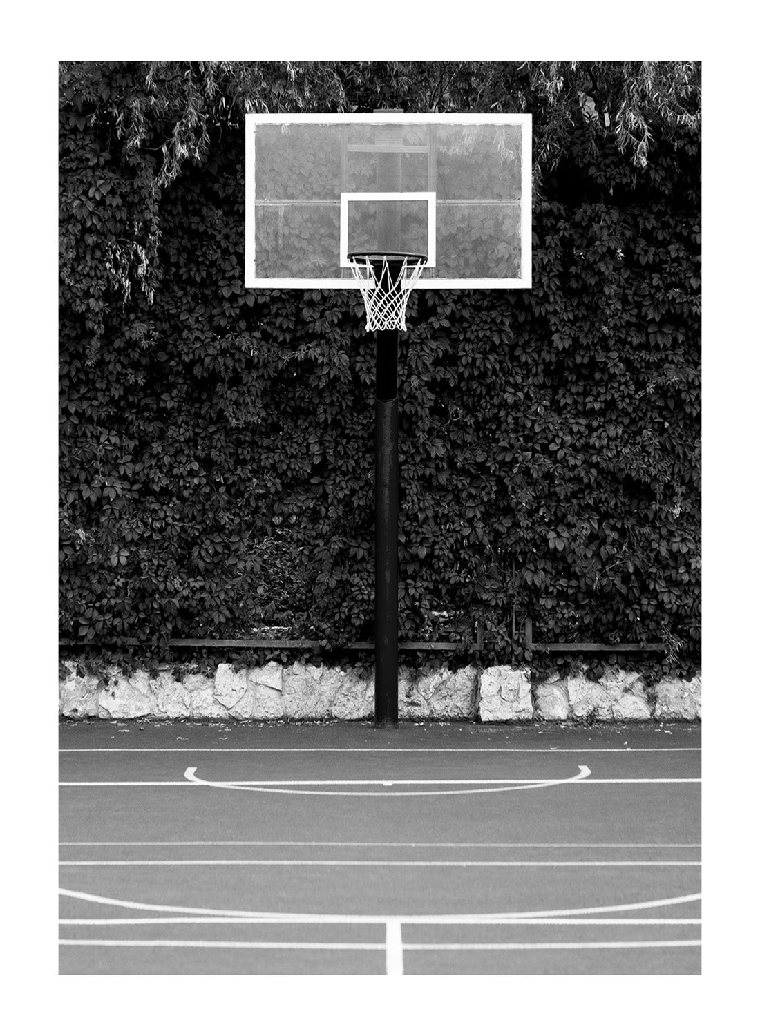 COURT IN NATURE