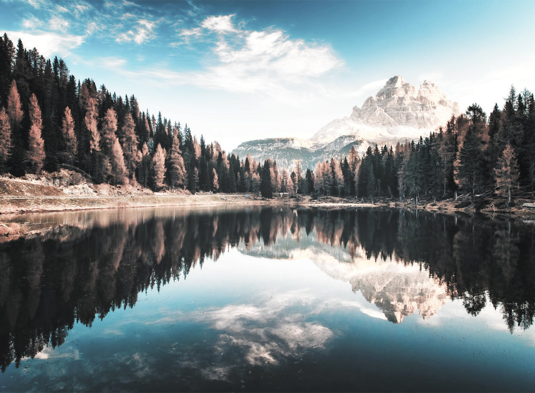FOREST LAKE AND BLUE SKY
