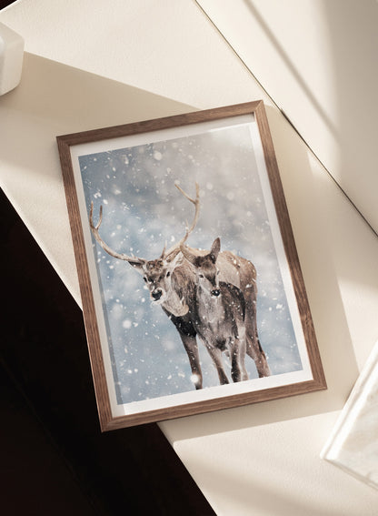 WINTER DEER PAIR