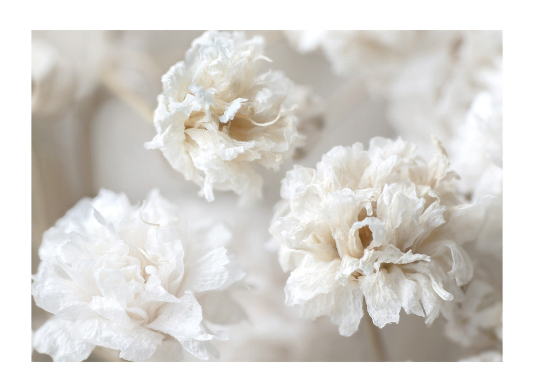 BEIGE FLOWERS