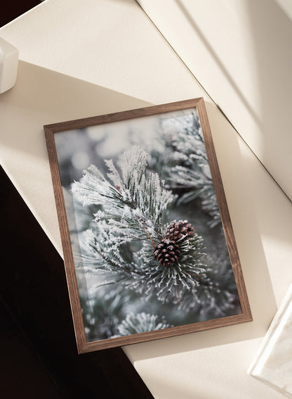 FROSTED PINE