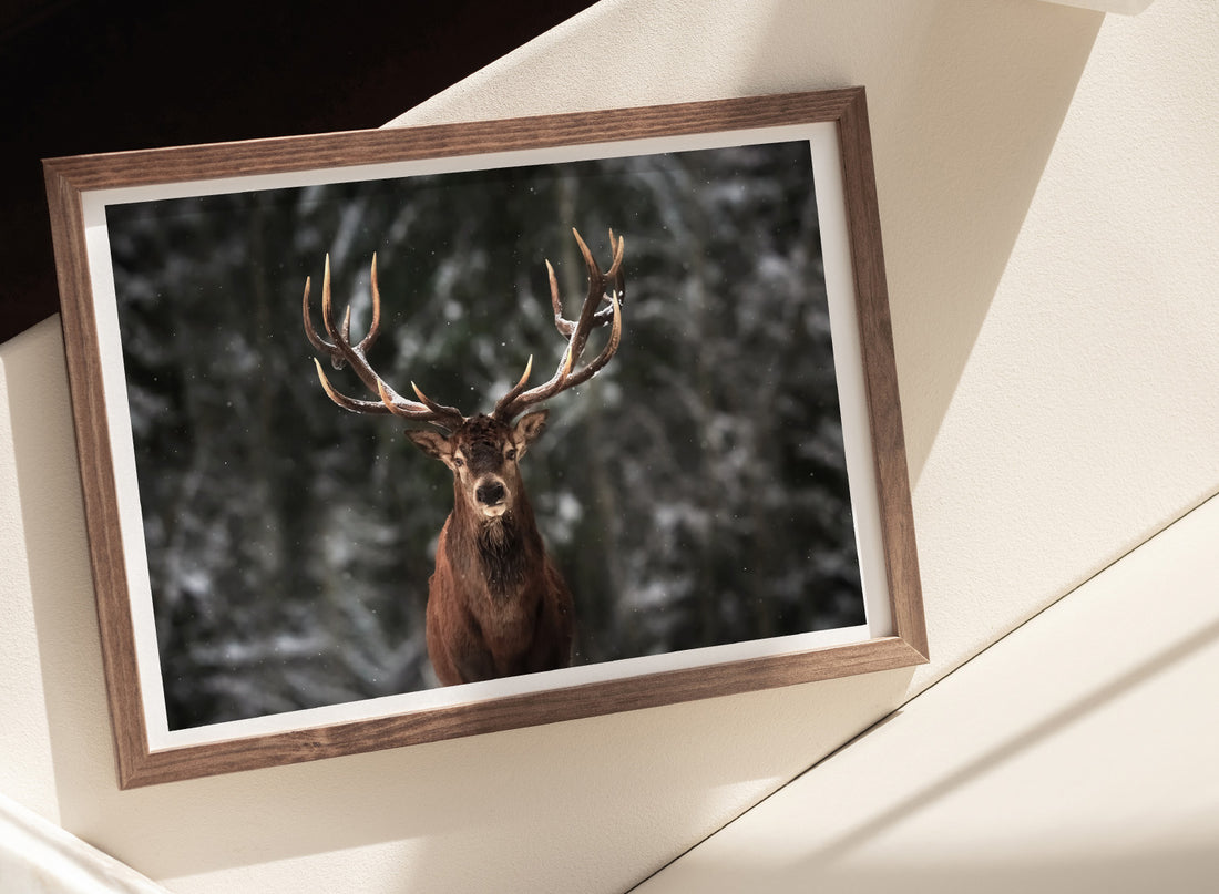 WINTER DEER