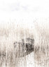 BOAT IN THE LAKE