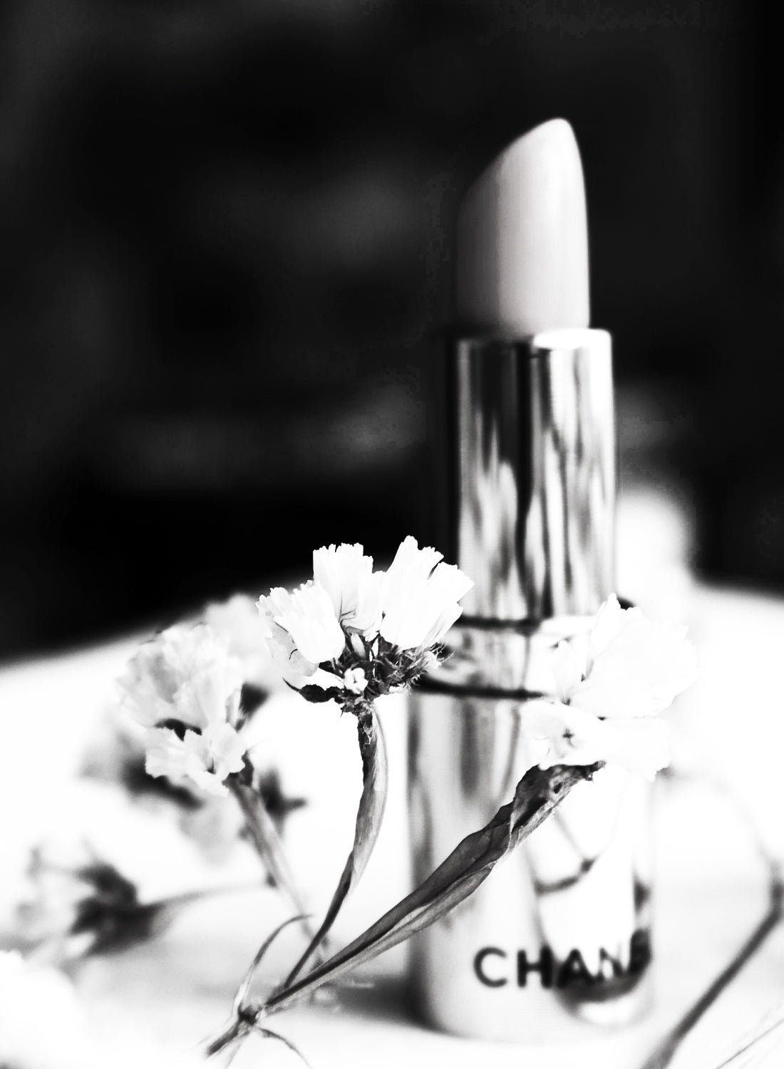 CHANEL LIPSTICK