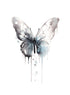 BUTTERFLY WATERCOLOR