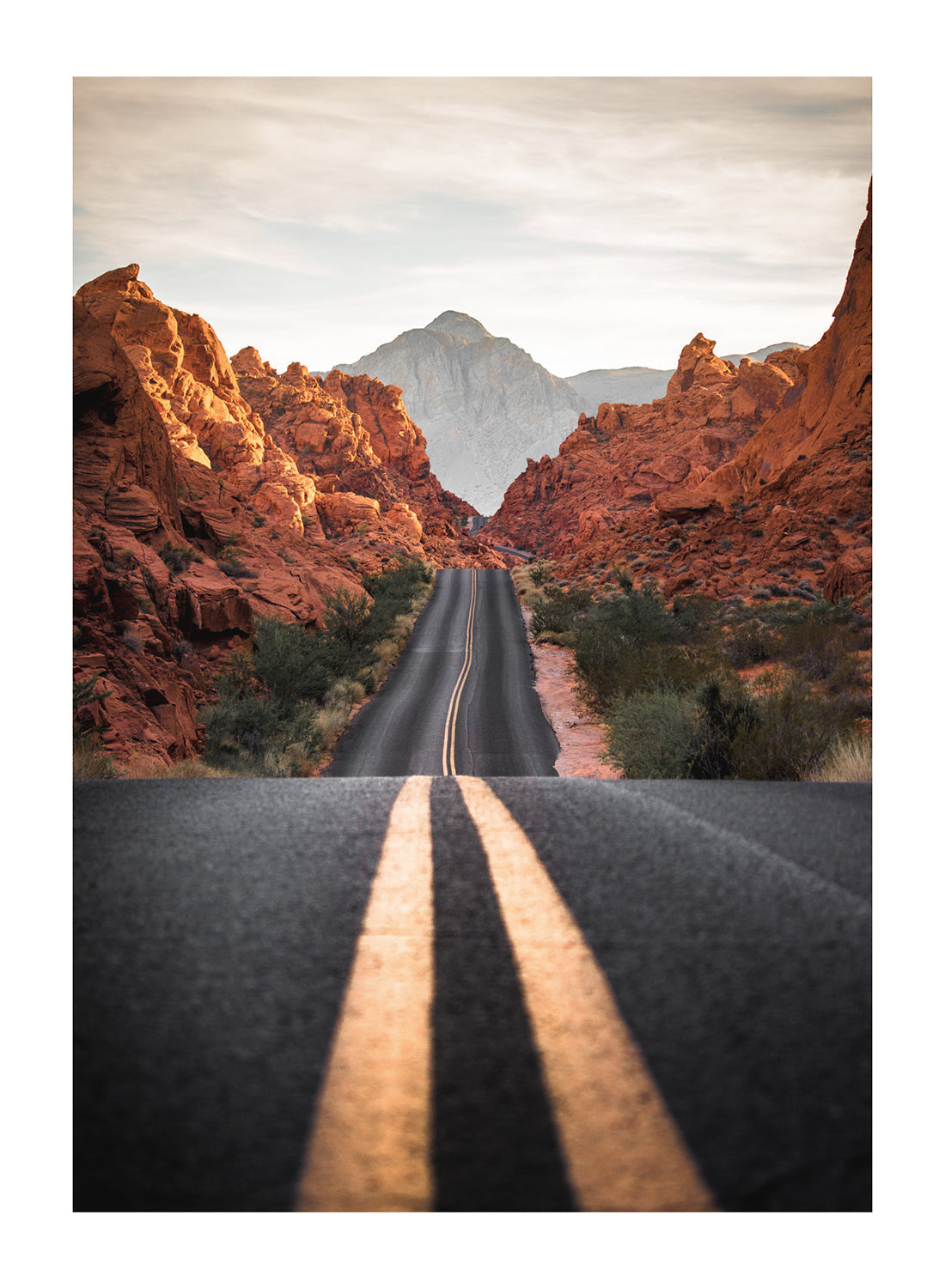 AUTUMN ROAD