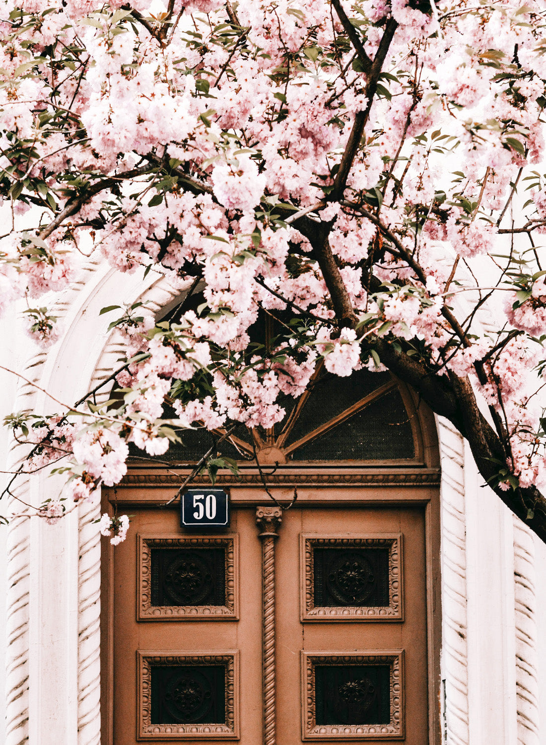 BLOSSOM DOORWAY