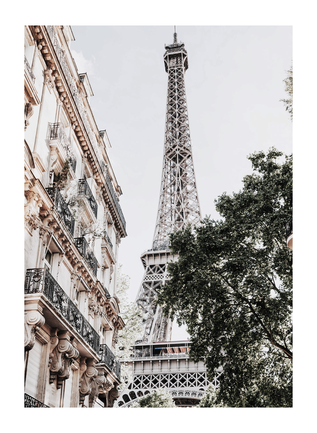 GOLDEN PARIS