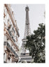 GOLDEN PARIS