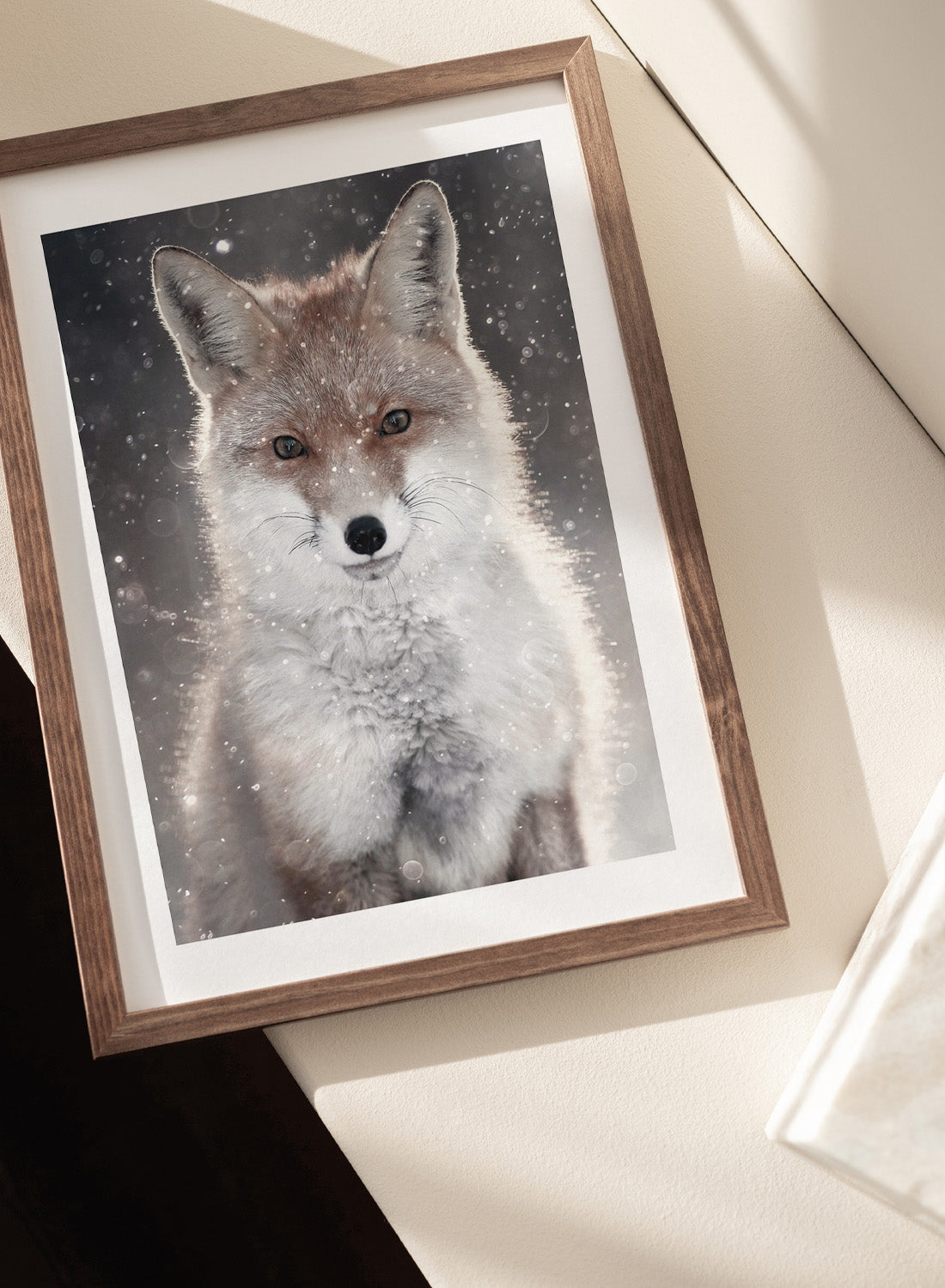 WINTER FOX