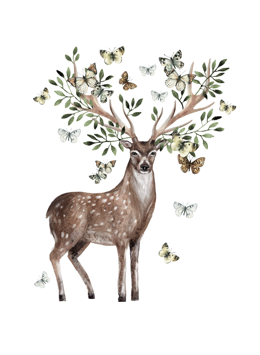 HARMONY OF NATURE