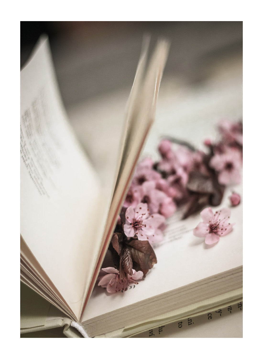 BLOSSOM PAGES