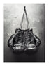 OLD BOXING GLOVES
