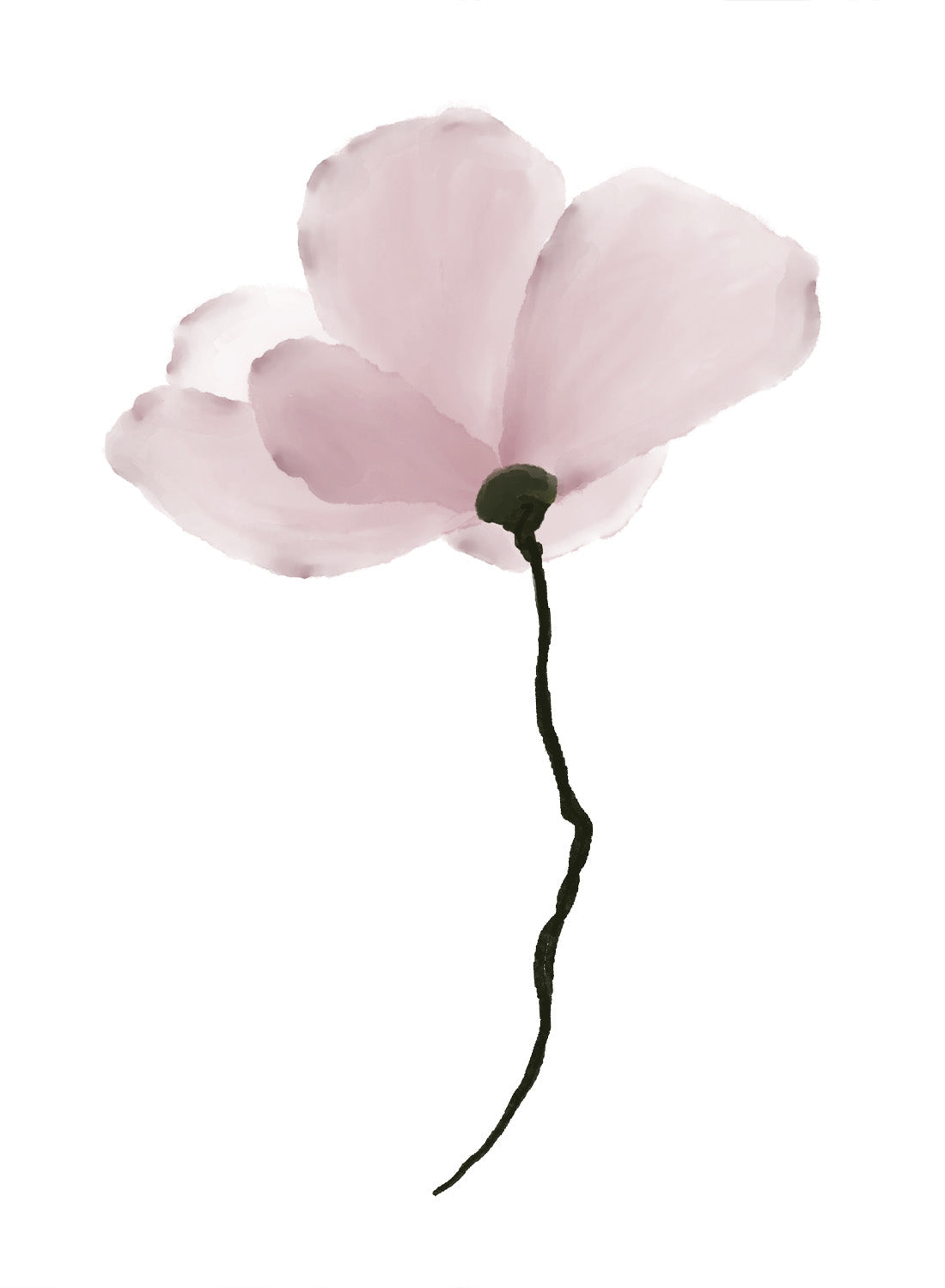 DELICATE BLOOM