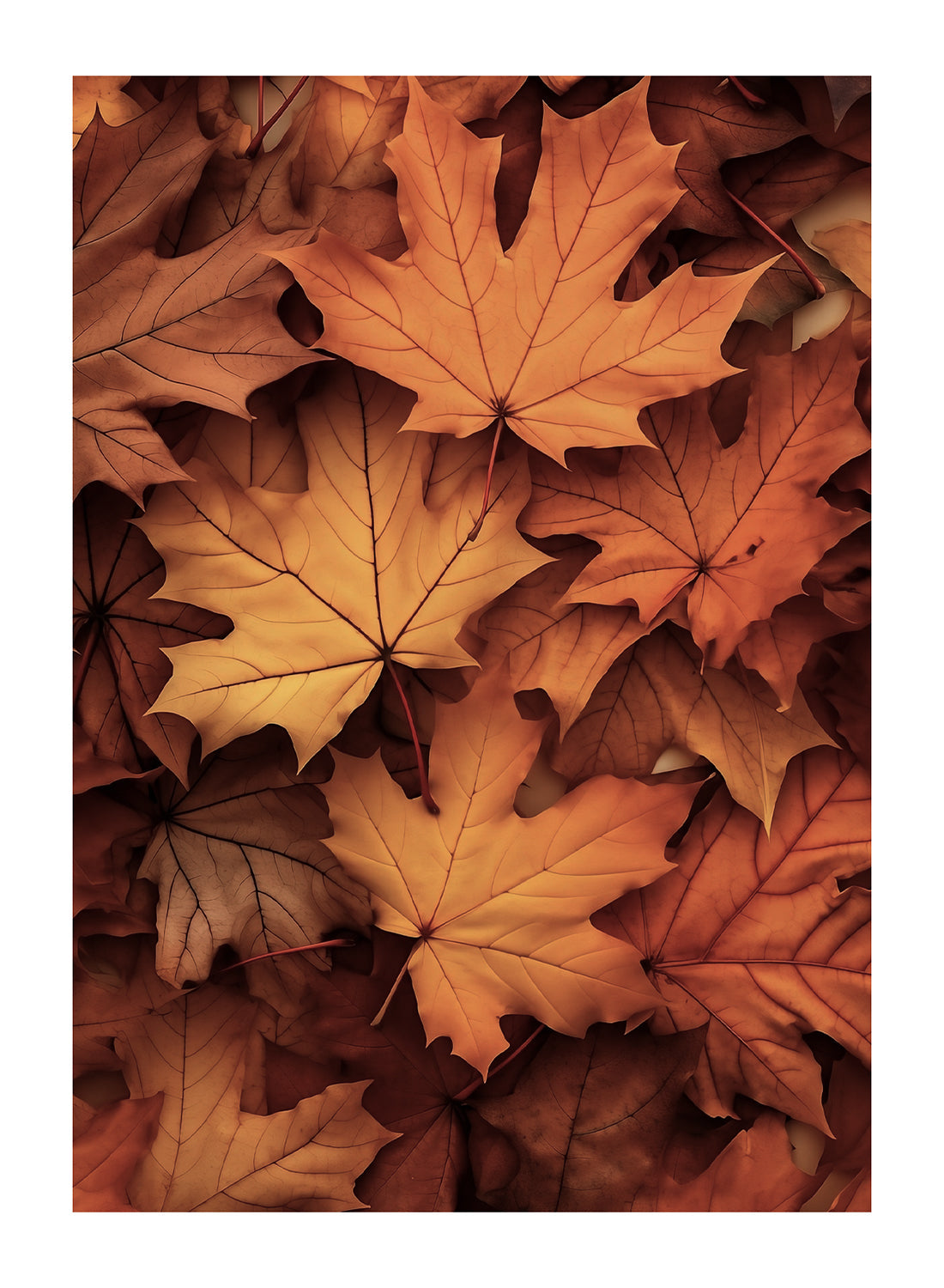 AUTUMN LEAF